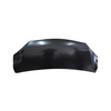 RECAMBIO CAPOTA LEXUS LM500 53001-58070
