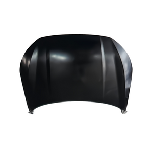 RECAMBIO CAPOTA BAIC X55 A00112420
